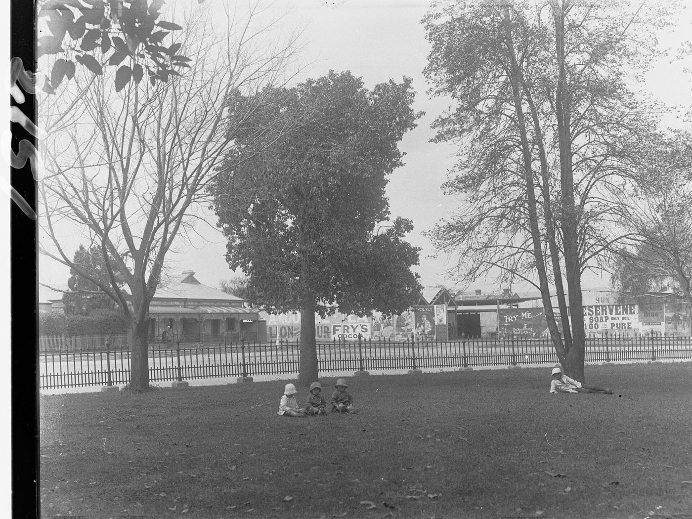 Children sitting under a tree in Hurtle Square, Adelaide